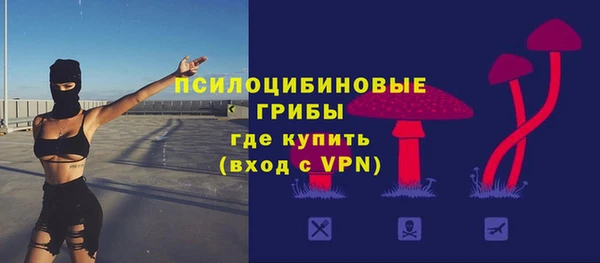 герыч Алексин