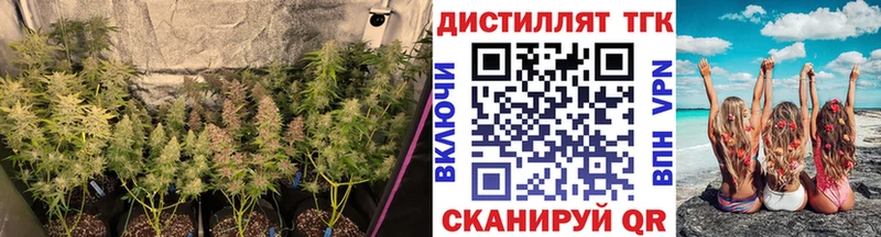 Дистиллят ТГК вейп с тгк  Талица 