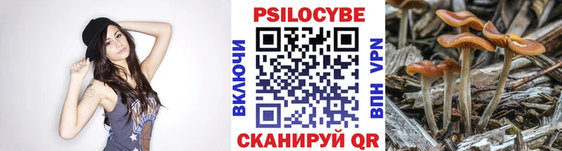Псилоцибиновые грибы Cubensis  купить   Талица 