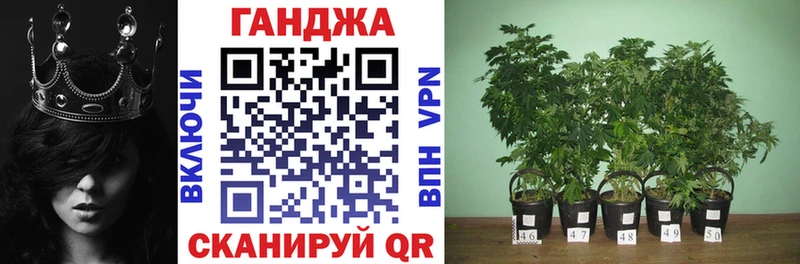 Бошки Шишки VHQ цена наркотик Талица